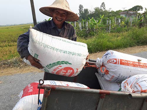 Chùm ảnh: Nông dân hớt hải gặt lúa chạy đua bão Cầu Vồng - 14