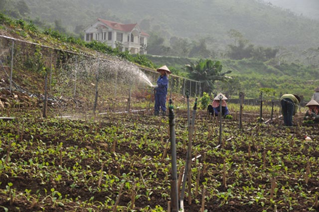 Cận cảnh trang trại lợn rừng hữu cơ độc đáo ở VN - 11