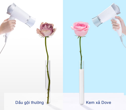 Hiểu tóc như hiểu mình - 5