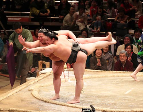 Sumo hài: Võ sĩ thành "kịch sĩ" - 7