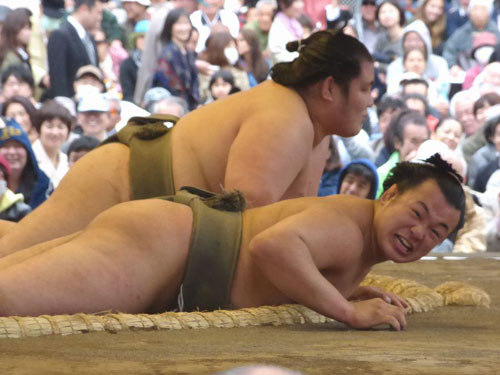 Sumo hài: Võ sĩ thành "kịch sĩ" - 2