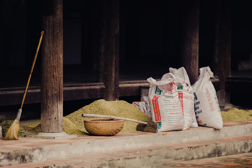 Tìm về làng quê thanh bình với bộ ảnh “Mùa gặt” - 4