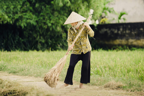 Tìm về làng quê thanh bình với bộ ảnh “Mùa gặt” - 6