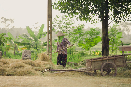 Tìm về làng quê thanh bình với bộ ảnh “Mùa gặt” - 5