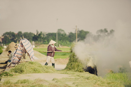 Tìm về làng quê thanh bình với bộ ảnh “Mùa gặt” - 4