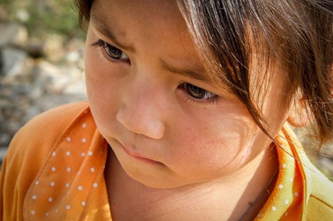 Thưởng thức vẻ đẹp tam giác mạch trên phiến đá tai mèo - 5