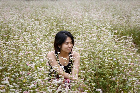 Thưởng thức vẻ đẹp tam giác mạch trên phiến đá tai mèo - 3