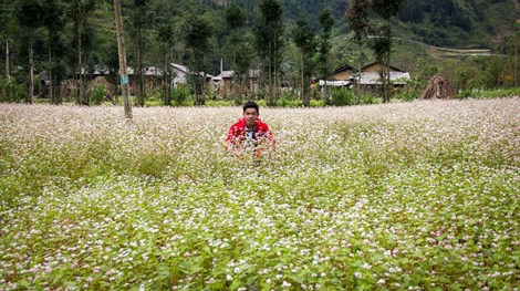 Thưởng thức vẻ đẹp tam giác mạch trên phiến đá tai mèo - 4