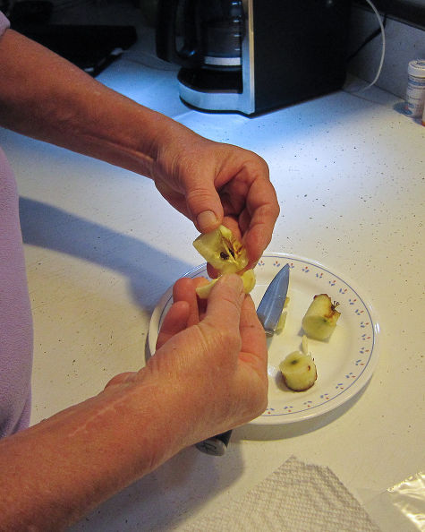 "Tuyệt chiêu" trồng táo trong chậu sai trĩu quả - 2