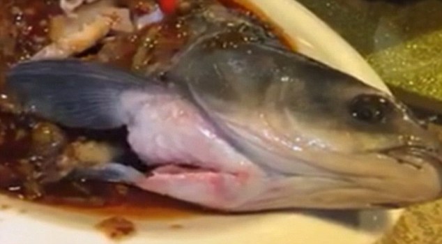 Video: Cá vẫn động đậy sau khi được nấu chín - 1