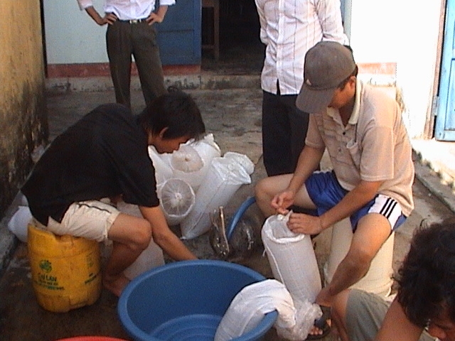 Hé lộ chiêu trò ép giá của các đầu nậu thu mua tôm - 3