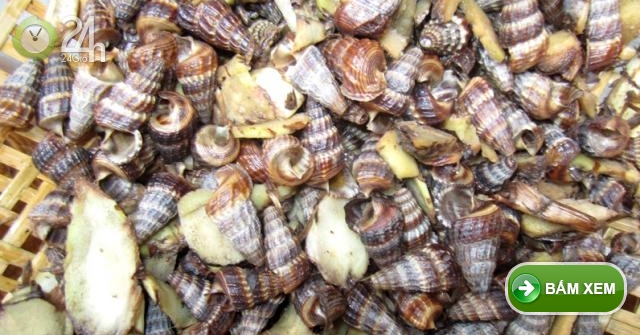 Ấm nồng với món ốc len luộc riềng
