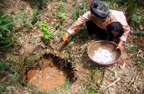 Gặp lại cặp vợ chồng duy nhất giữ tục ăn đất cổ xưa - 5