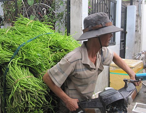 Đôi bàn tay &#34;biến dạng&#34; vì nhặt rau muống thuê - 5