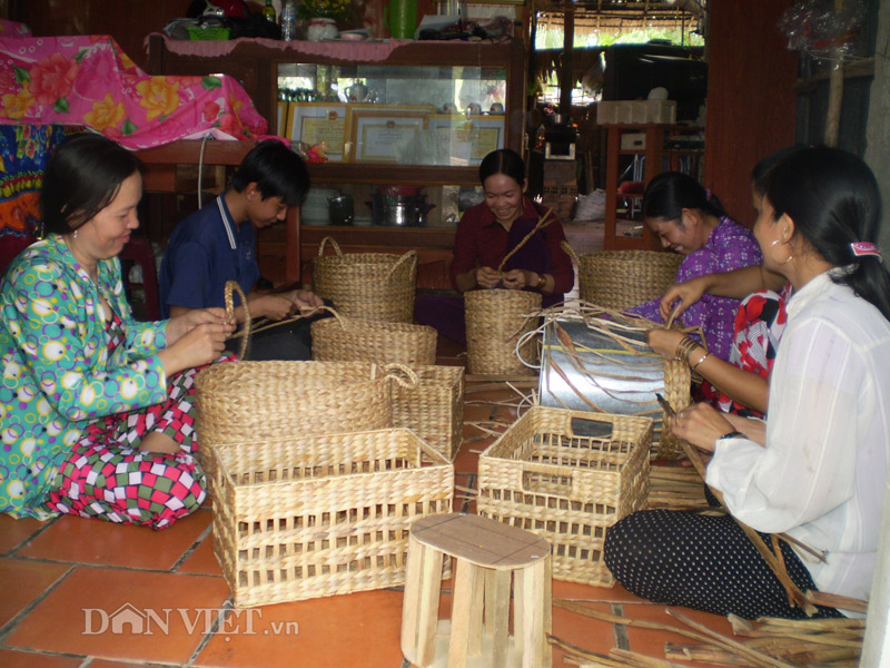 Hoa tím lục bình trên sông nước miền Tây - 3