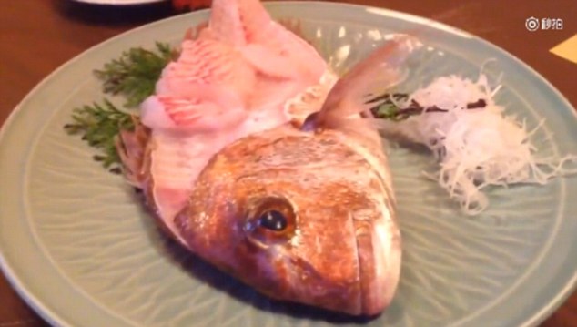Video: Cá bị róc hết thịt vẫn nhảy ra khỏi đĩa - 1
