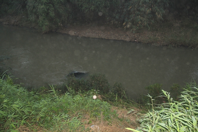 Xác tài xế cùng xe biển xanh "ngâm" nhiều ngày dưới suối - 1