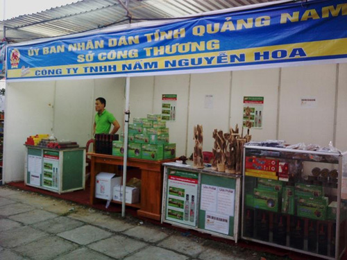 Nấm Lim Xanh chữa bệnh hiểm nghèo - 1