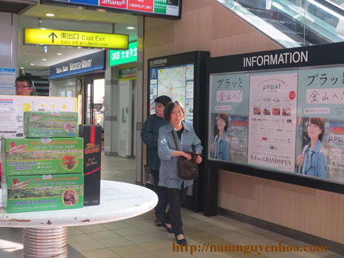 Nấm Lim Xanh chữa bệnh hiểm nghèo - 2