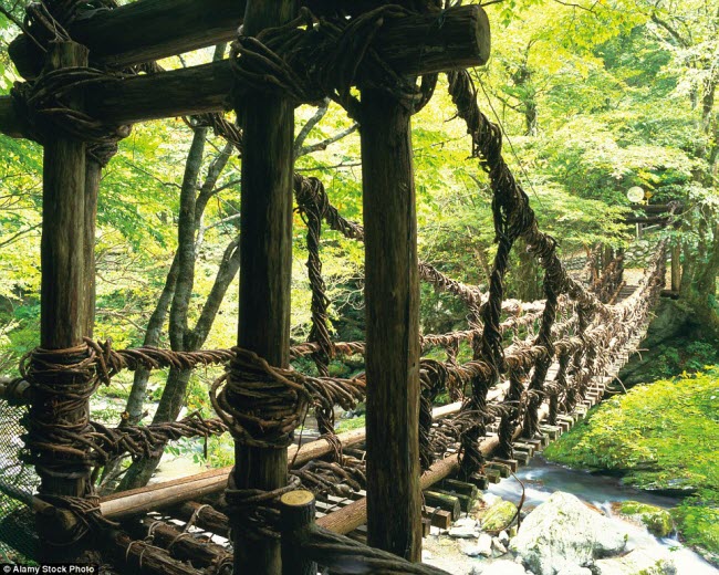 Cây cầu treo được làm bằng gỗ và dây nho trên đảo Shikoku, Nhật Bản.