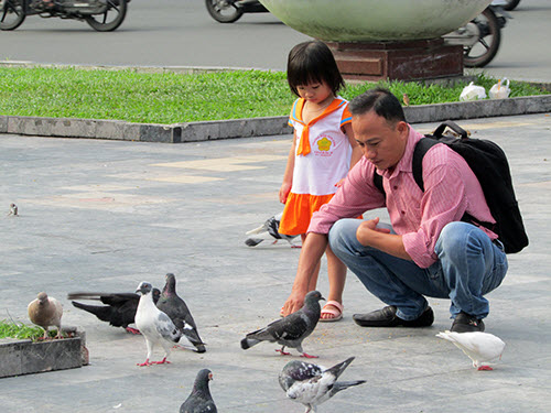 Video: Vui đùa cùng chim bồ câu giữa lòng Sài Gòn - 1