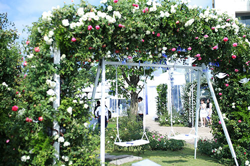 Cùng dạo bước tại vườn hồng lớn nhất Sài Gòn - 9