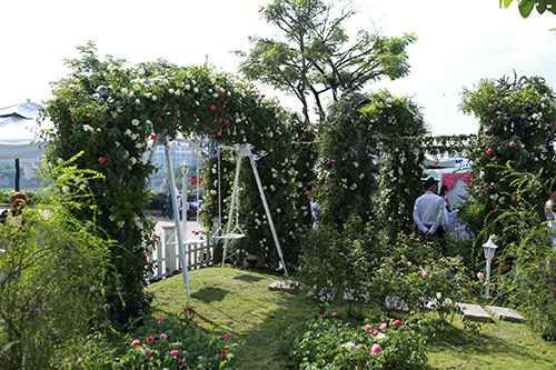 Cùng dạo bước tại vườn hồng lớn nhất Sài Gòn - 8