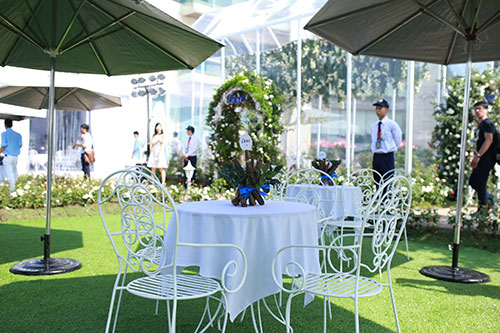 Cùng dạo bước tại vườn hồng lớn nhất Sài Gòn - 10