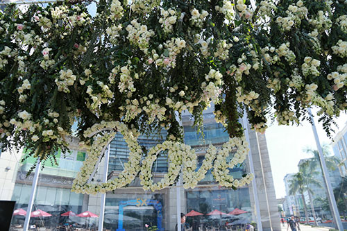 Cùng dạo bước tại vườn hồng lớn nhất Sài Gòn - 1