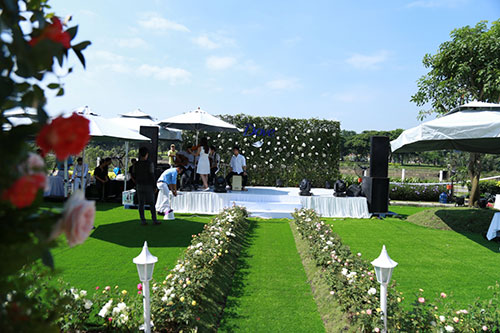 Cùng dạo bước tại vườn hồng lớn nhất Sài Gòn - 7