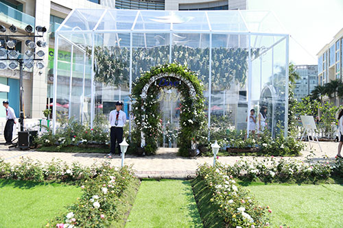 Cùng dạo bước tại vườn hồng lớn nhất Sài Gòn - 6