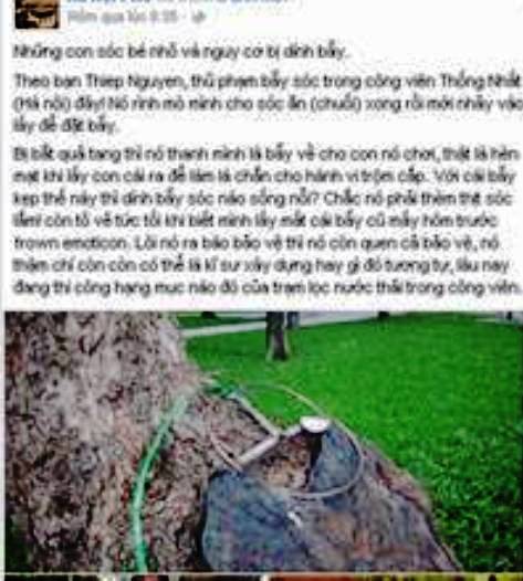 Dân mạng tức giận vì người đàn ông bẫy sóc ở CV Thống Nhất - 1