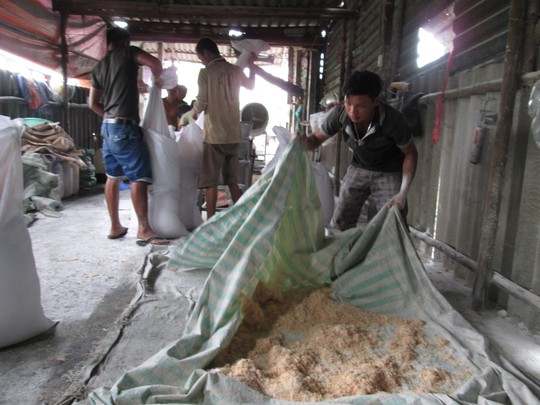 Lò sản xuất chà bông từ thịt gà độn bột mì, bốc mùi hôi thối - 2