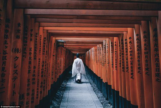 Hình ảnh được chụp bên trong đền Fushimi Inari Taisha thờ thần Inari, nằm dưới chân núi cùng tên ở quận Fushimi-ku của thành phố Kyoto.
