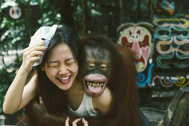Văn Mai Hương chia sẻ hình ảnh hài hước chụp cùng một chú đười ươi.