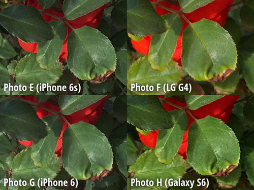 Đọ khả năng chụp ảnh giữa "bộ tứ" smartphone cao cấp - 8