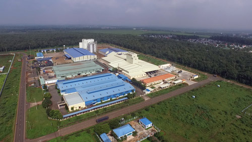 Khánh thành nhà máy sản xuất thức ăn chăn nuôi Bình Minh - 3