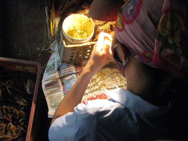 Bí quyết xem hậu môn gà kiếm 3 triệu/ngày - 4