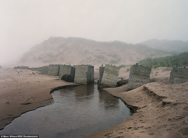 Hàng rào bê tông được xây dựng để chặn xe tăng trên bãi biển Aberdeenshire, Scotland.