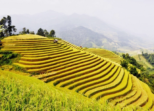 5 điểm du lịch ngắm ruộng bậc thang tuyệt đẹp - 3