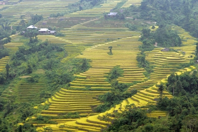 5 điểm du lịch ngắm ruộng bậc thang tuyệt đẹp - 4