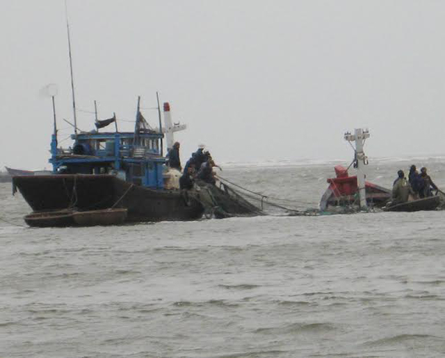 Cứu sống 4 ngư dân bị chìm tàu trên biển - 1