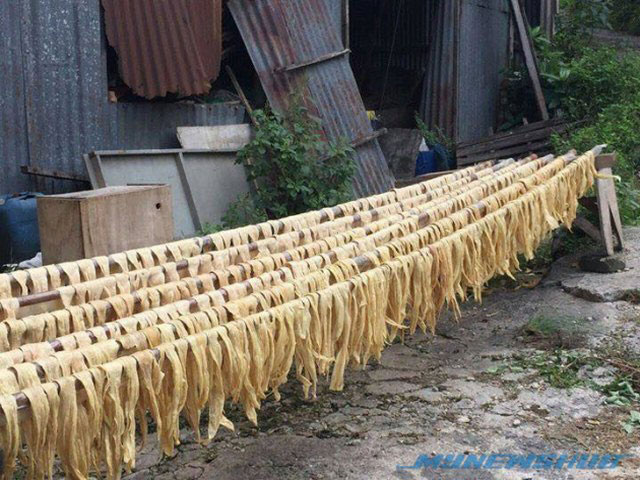 Sự thật về bức ảnh váng đậu bẩn gây rúng động - 3