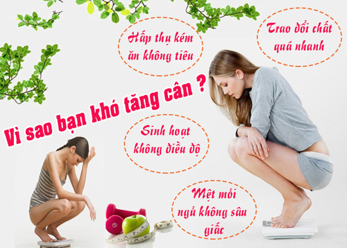 Ăn gì để tăng cân nhanh chắc khỏe? - 1