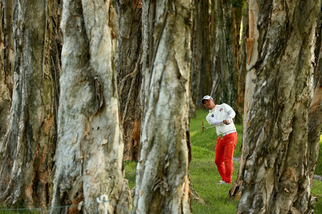 



Trái golf của Lu Wei-Chih lạc vào một rừng cây, golfer này đang tìm mọi cách để đưa trái bóng ra khỏi rừng cây dày đặc.




