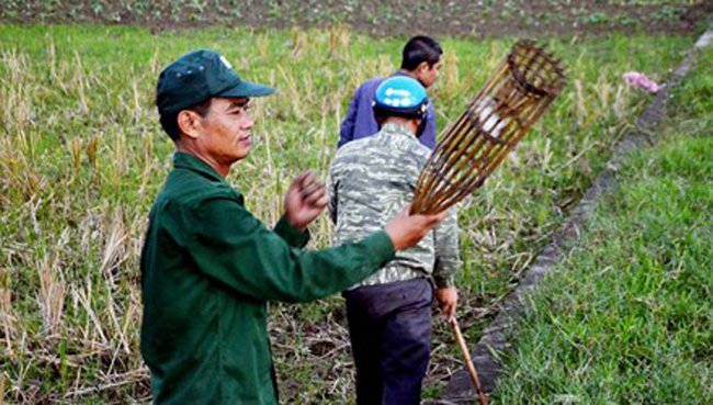 Theo những thợ săn chuột thì họ bắt chuột quanh năm, nhưng nhộn nhịp nhất là vào tháng 9 đến tháng 12 (âm lịch). Thời điểm này, nước sông cạn nên chuột đào hang nhiều và cũng là lúc vụ mùa thu hoạch xong, chuột thường béo và ngon hơn.