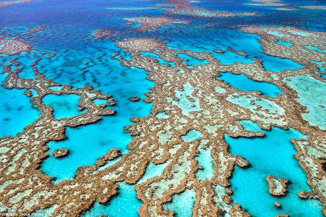 Rặng san hô Great Barrier Reef ở Australia là rặng san hô lớn nhất thế giới, bao gồm khoảng 3.000 tảng đá ngầm, 900 hòn đảo và các loài sinh vật biển đa dạng. Theo các nhà khoa học, nơi này có thể biến mất trong năm 2050 do biến đổi khí hậu.
