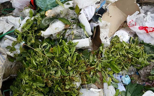 Cây cầu hơn 10 năm "cõng" phế thải giữa Thủ đô - 7