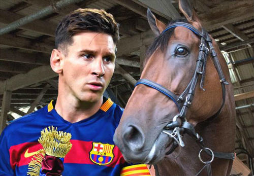 Messi tranh giải thưởng thể thao với… ngựa - 1