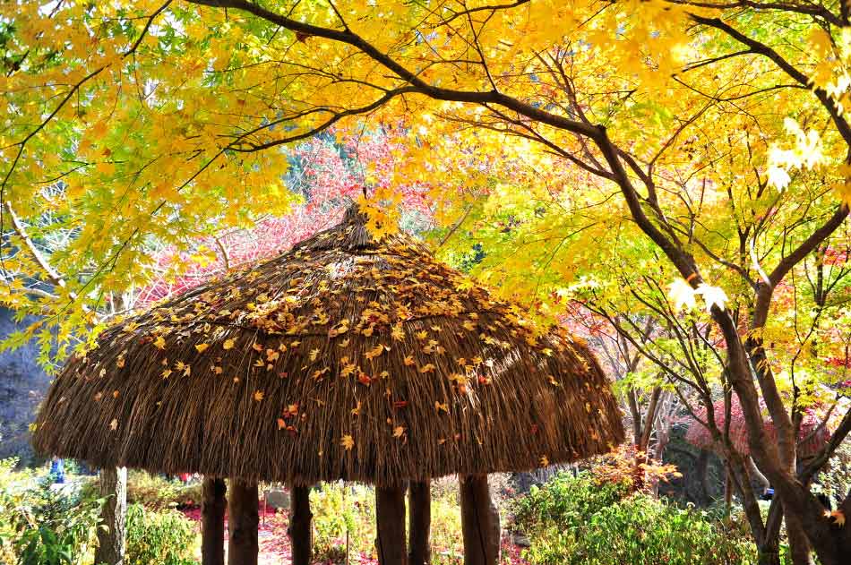 Ngắm cảnh sắc nên thơ trong bộ phim "Cô nàng xinh đẹp" - 11